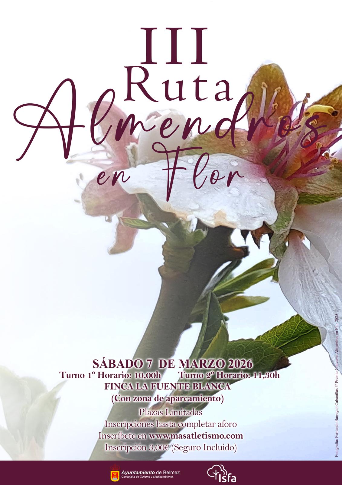 III RUTA ALMENDROS EN FLOR